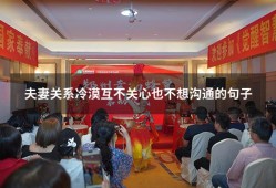 夫妻关系冷漠互不关心也不想沟通的句子（夫妻之间越来越冷漠）
