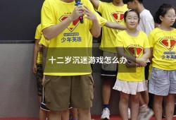 十二岁沉迷游戏怎么办（沉迷游戏看心理医生有用吗）