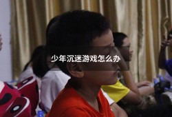 少年沉迷游戏怎么办（青年人沉迷网络游戏怎么办）