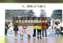大学生情绪管理案例分析（情绪管理的正面例子）