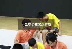 十二岁男孩沉迷游戏（男孩沉迷游戏杀了父母）