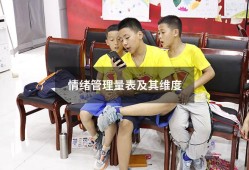 情绪管理量表及其维度（情绪评估量表有哪些）