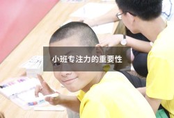 小班专注力的重要性（如何培养小班幼儿专注力）