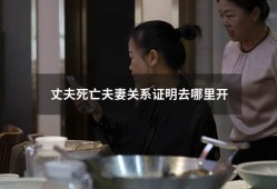 丈夫死亡夫妻关系证明去哪里开（夫妻一方已过世,如何开具结婚证明）