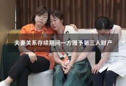 夫妻关系存续期间一方赠予第三人财产（将婚内共同财产赠与一方）