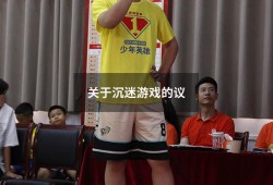 关于沉迷游戏的议（给沉迷游戏的人的建议）