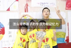 怎么培养孩子的专注力和记忆力