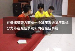 在情绪管理方面有一个减压系统减压系统分为外在减压系统和内在减压系统（调整和优化压力反应的方式有）