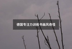 德国专注力训练书画风奇怪（德国专注力训练书怎么样）