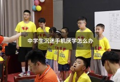 中学生沉迷手机厌学怎么办（中学生厌学怎么解决）