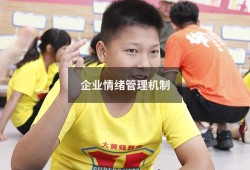企业情绪管理机制（企业员工情绪管理）