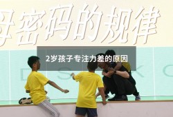 2岁孩子专注力差的原因（小学生专注力差的原因）