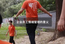 企业员工情绪管理的意义（简述情绪管理的重要性）