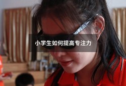 小学生如何提高专注力