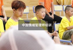 中加情绪管理师培训（心理咨询师证书培训机构）