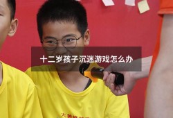 十二岁孩子沉迷游戏怎么办（如何让孩子讨厌游戏）