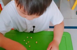 锻炼幼儿专注力游戏夹豆豆