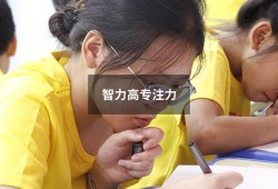 智力高专注力（提高专注力方法）