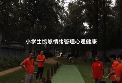 小学生愤怒情绪管理心理健康（情绪对心理健康的影响）