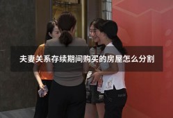 夫妻关系存续期间购买的房屋怎么分割