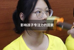 影响孩子专注力的因素（影响专注力的五大因素）