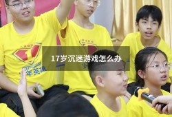 17岁沉迷游戏怎么办（17岁孩子沉迷游戏怎么办）