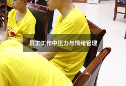 员工工作中压力与情绪管理（企业员工情绪管理）