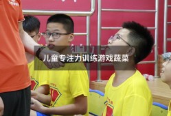 儿童专注力训练游戏蔬菜（水果蔬菜专注力训练）