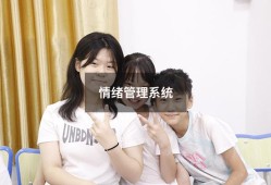 情绪管理系统（大学生情绪论文3000字）